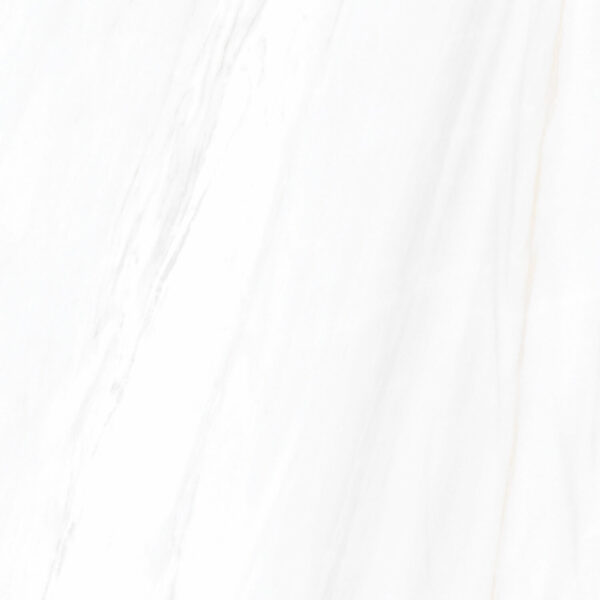 LASA WHITE