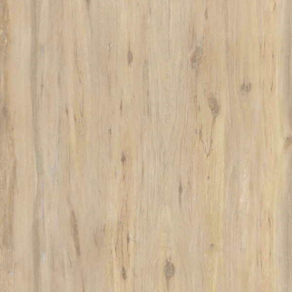 BOREAL SAND