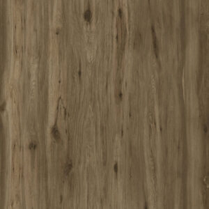 Boreal Umber