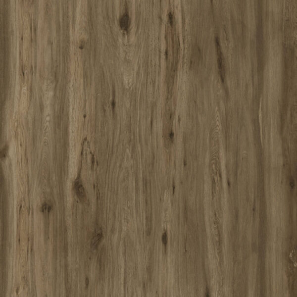 BOREAL UMBER